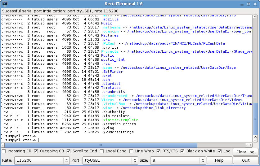 what is serial terminal program